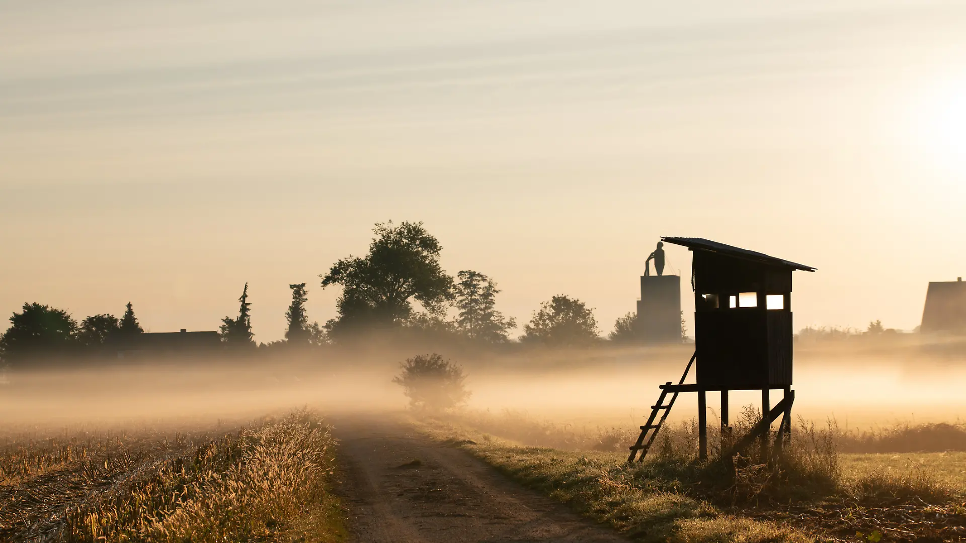 iStock-1762078957.jpg