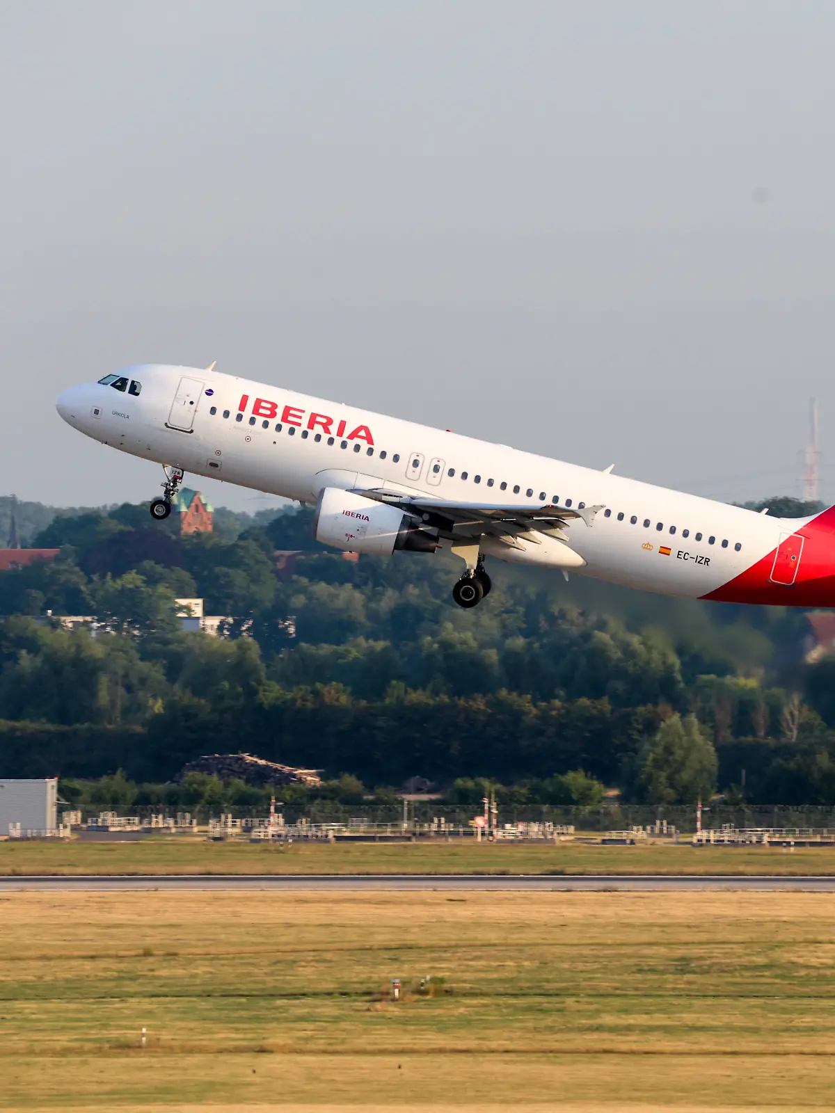 Der Geier kollidierte kurz nach dem Start mit einem Flugzeug der Airline Iberia.