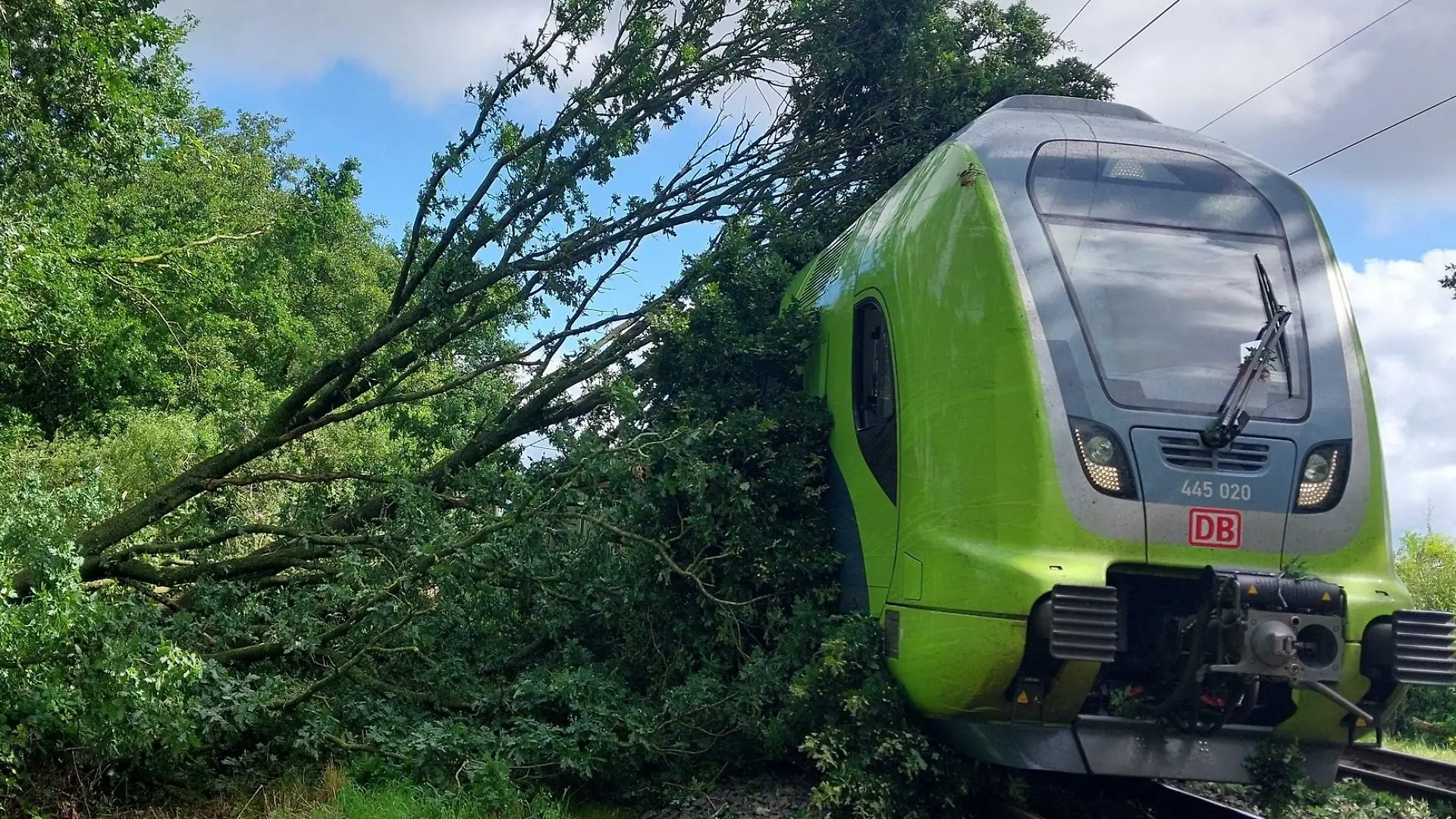 Ein Regionalexpress ist auf der Bahnstrecke zwischen Hamburg und Neumünster gegen einen umgestürzten Baum gefahren.