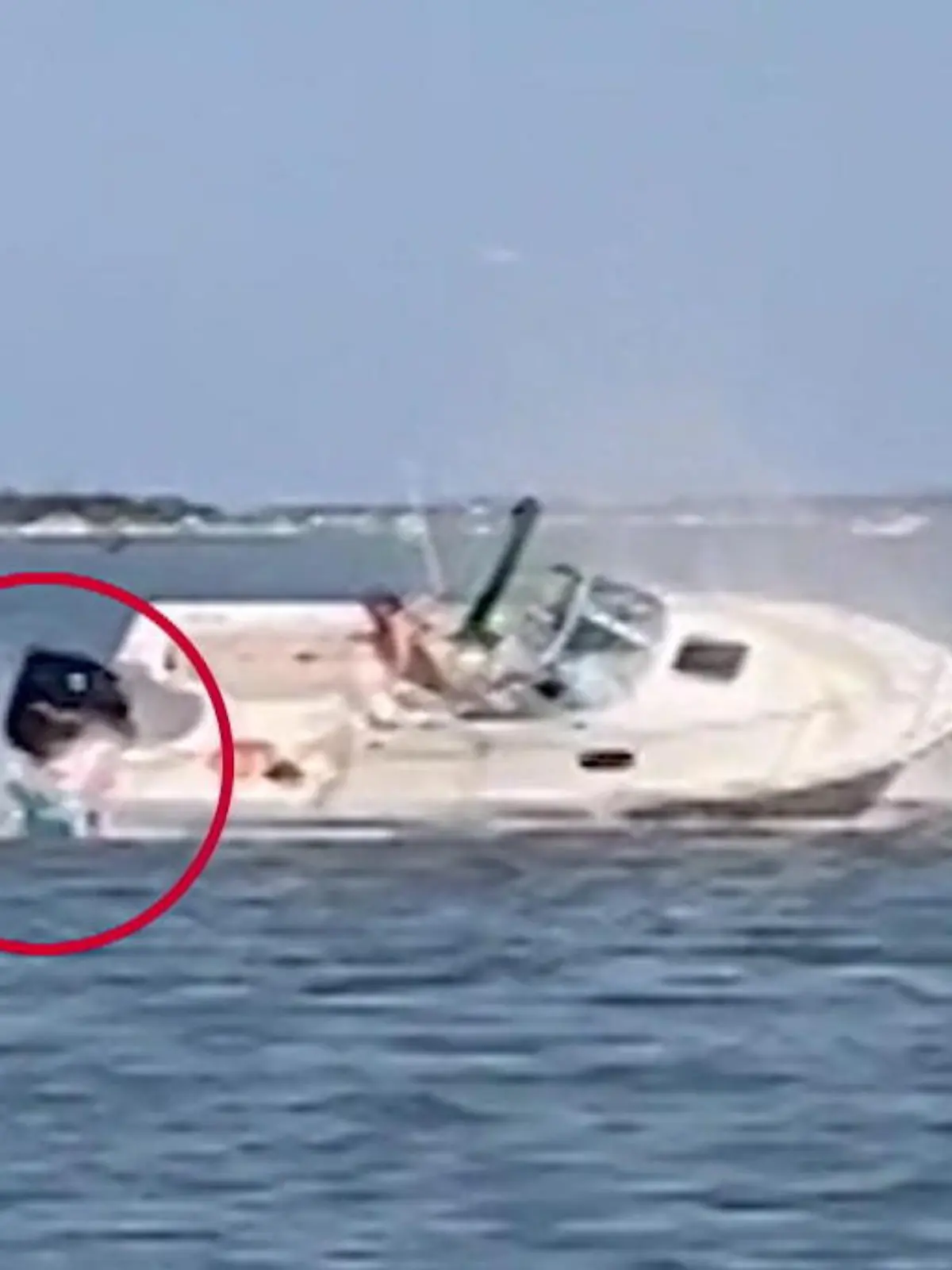 Wal kollidiert mit Ausflugsboot und eine Touristin geht über Bord.