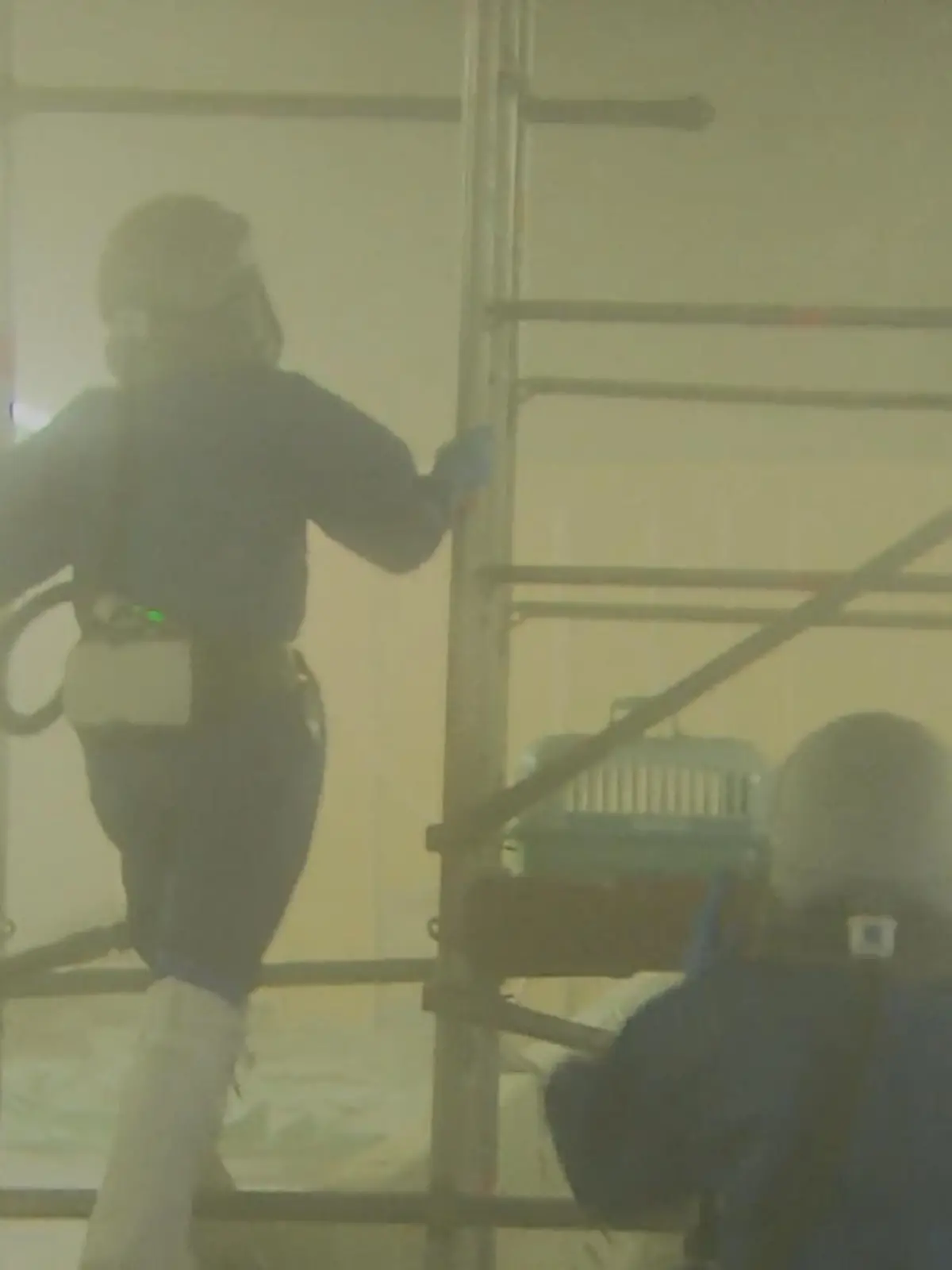 Bild zu: "Tierschützer retten Hunderte Tauben in Essen"