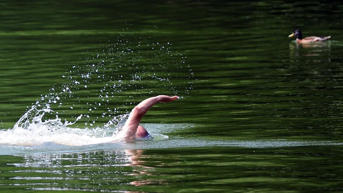Bild zu: "Schwimmerin (75) in bayerischem See von Fisch gebissen"