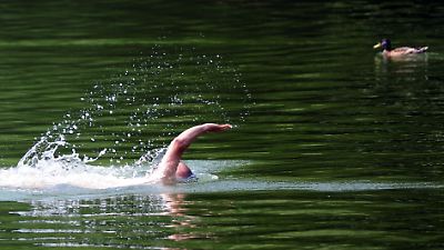 Bayern: Schwimmerin (75) in bayerischem See von Fisch gebiss