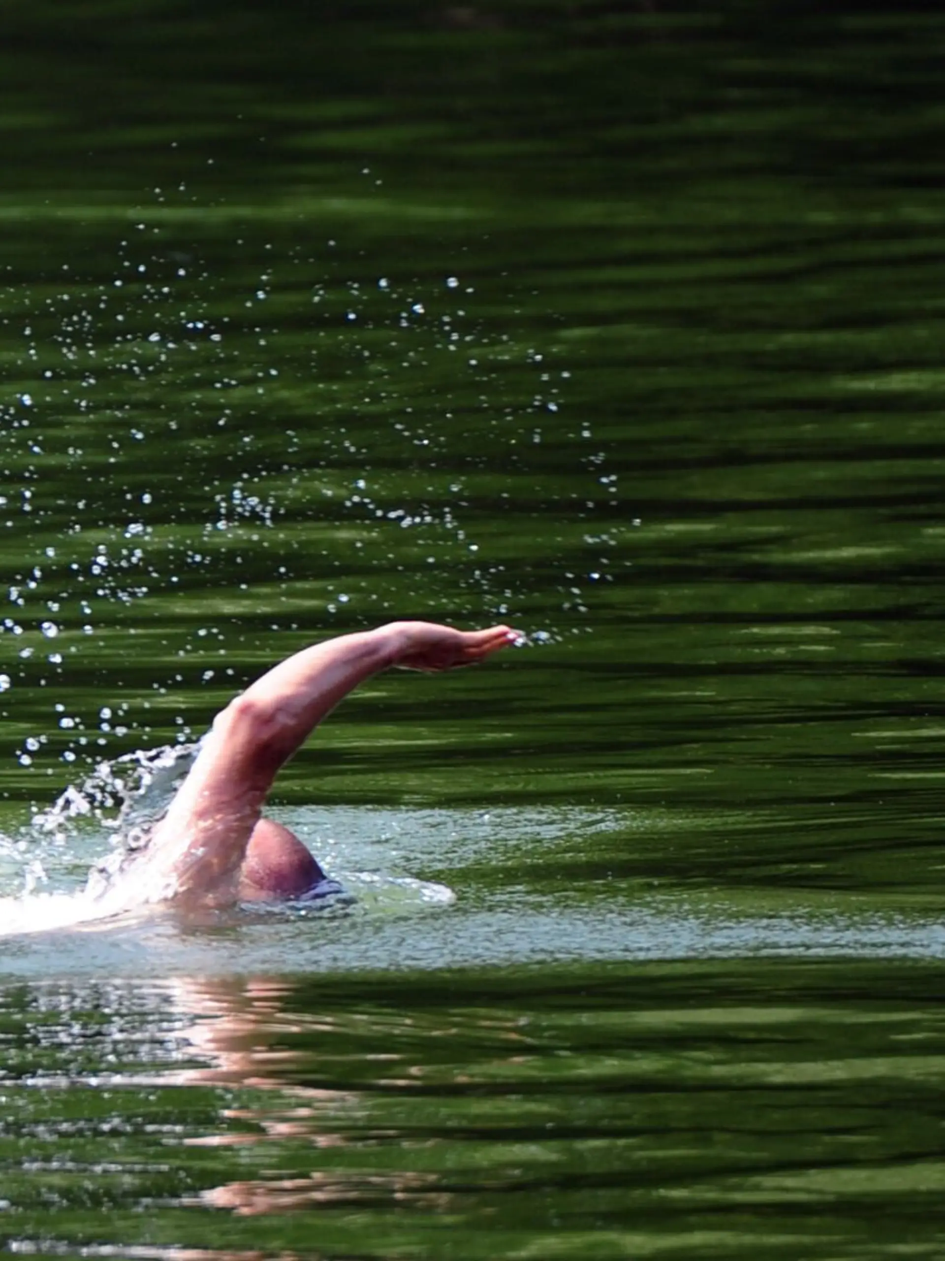 Bild zu: "Schwimmerin (75) in bayerischem See von Fisch gebissen"