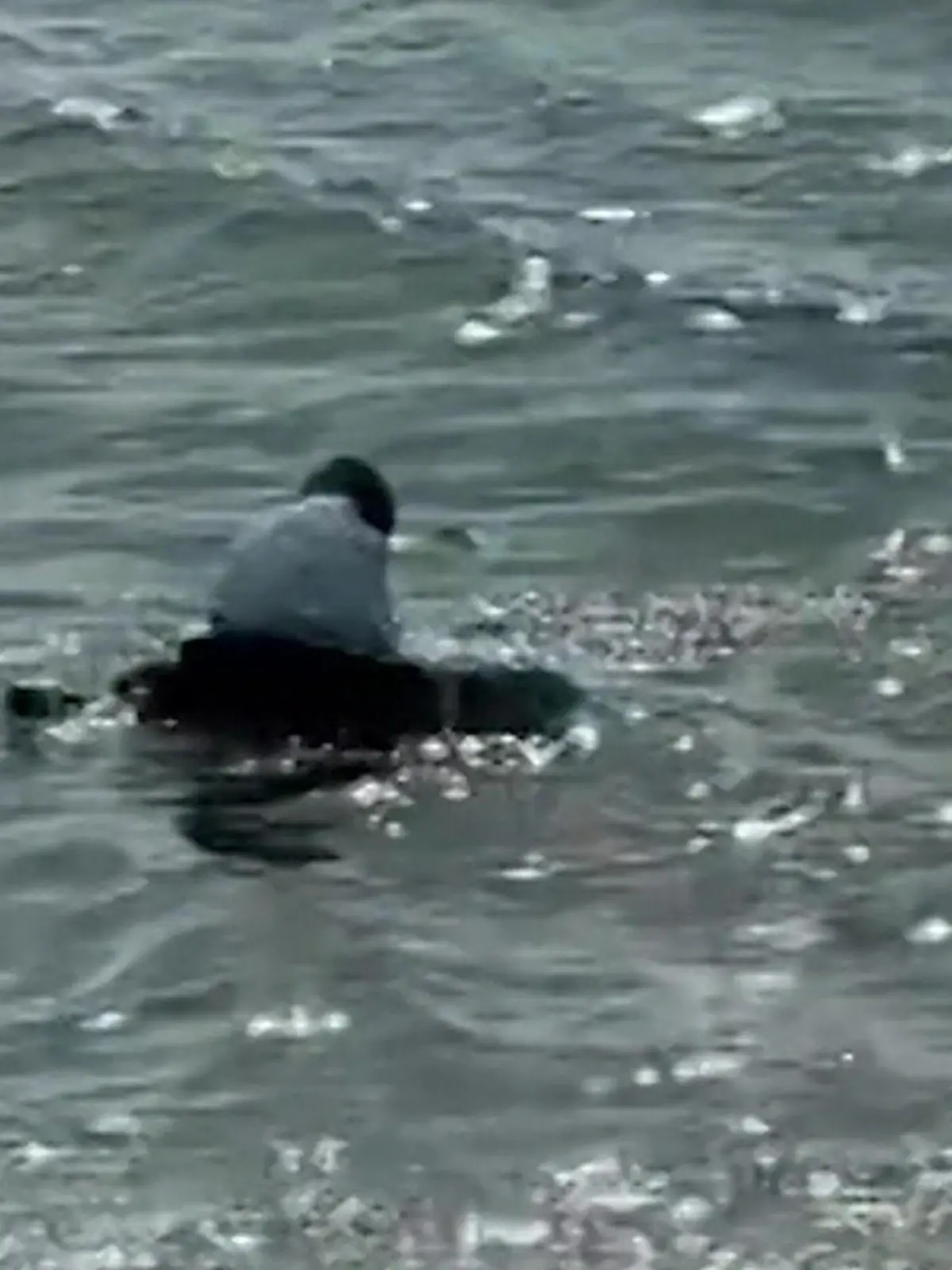 Bild zu: "Plötzlich mitten im Meer! Frau vergisst schlafenden Mann am Strand"