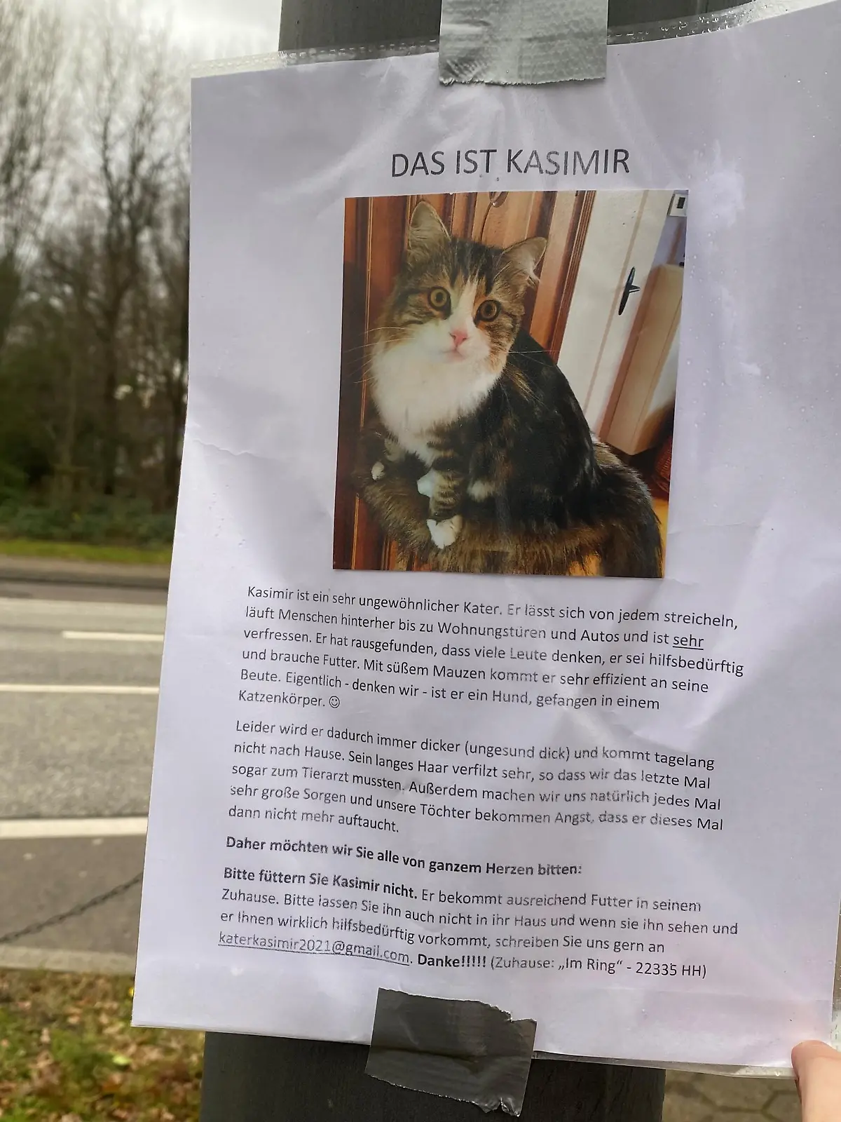 Das ist Kasimir, der Kater mit einem besonderen Talent