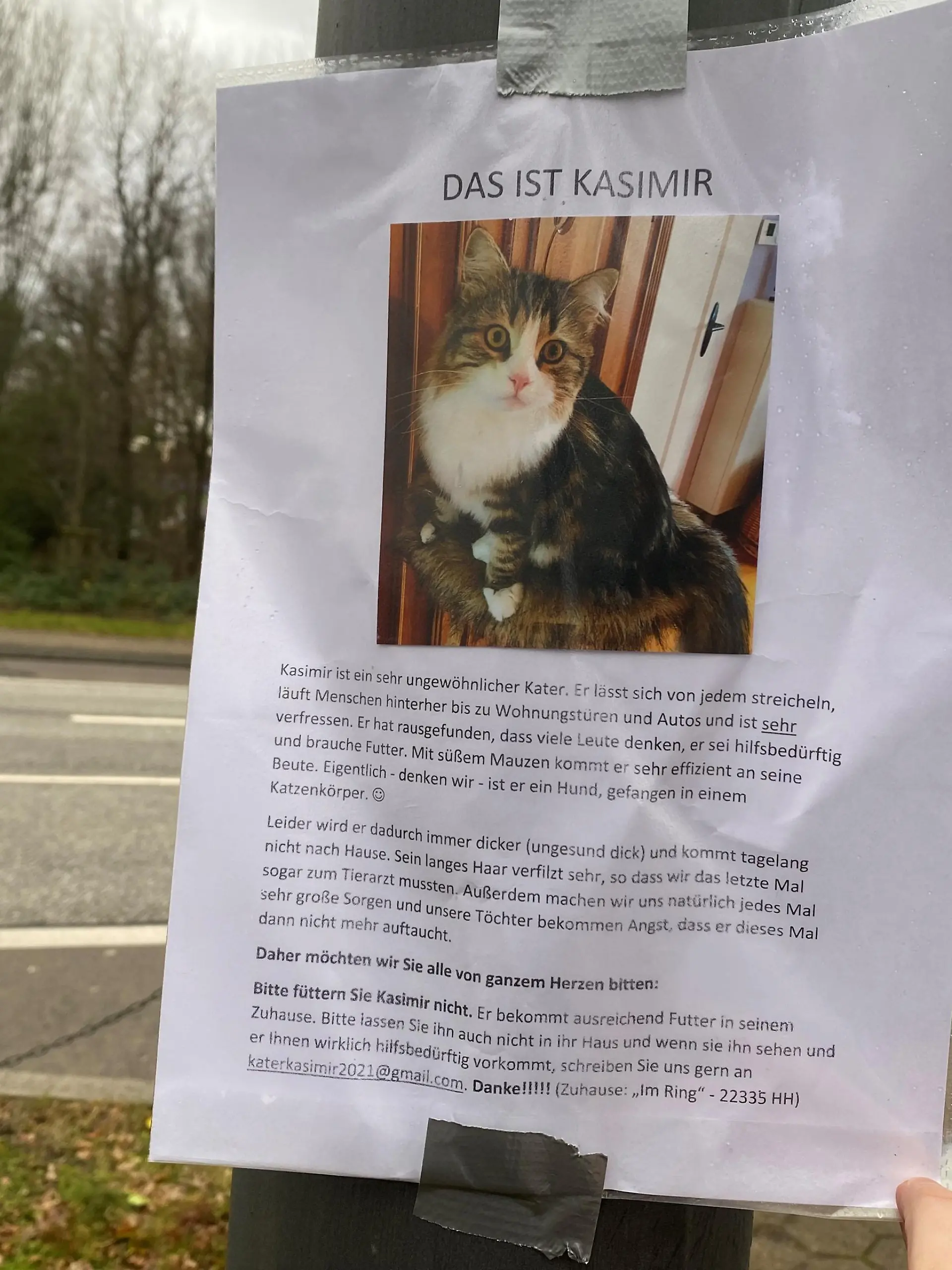 Das ist Kasimir, der Kater mit einem besonderen Talent