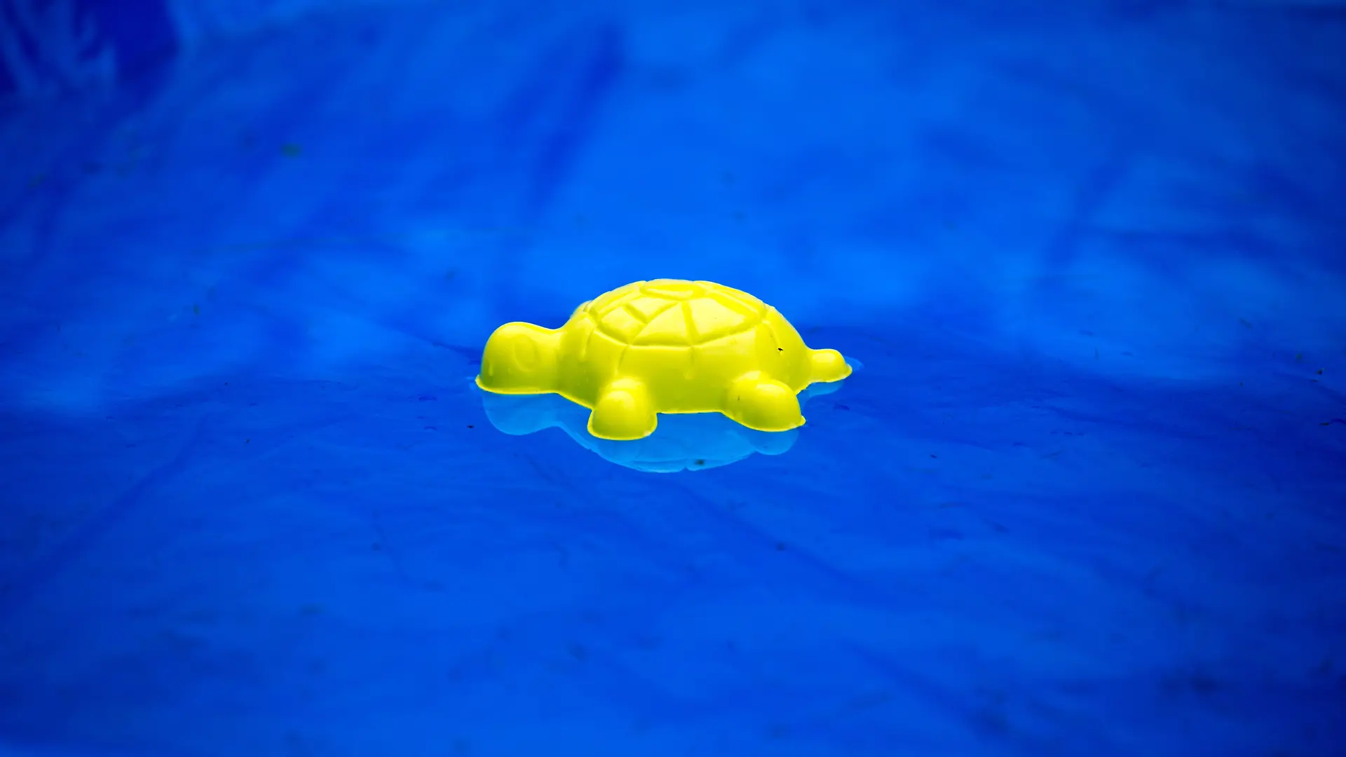 Zwei vermisste Kinder tot im Privat-Pool in Frankreich gefunden. (Symbolbild)