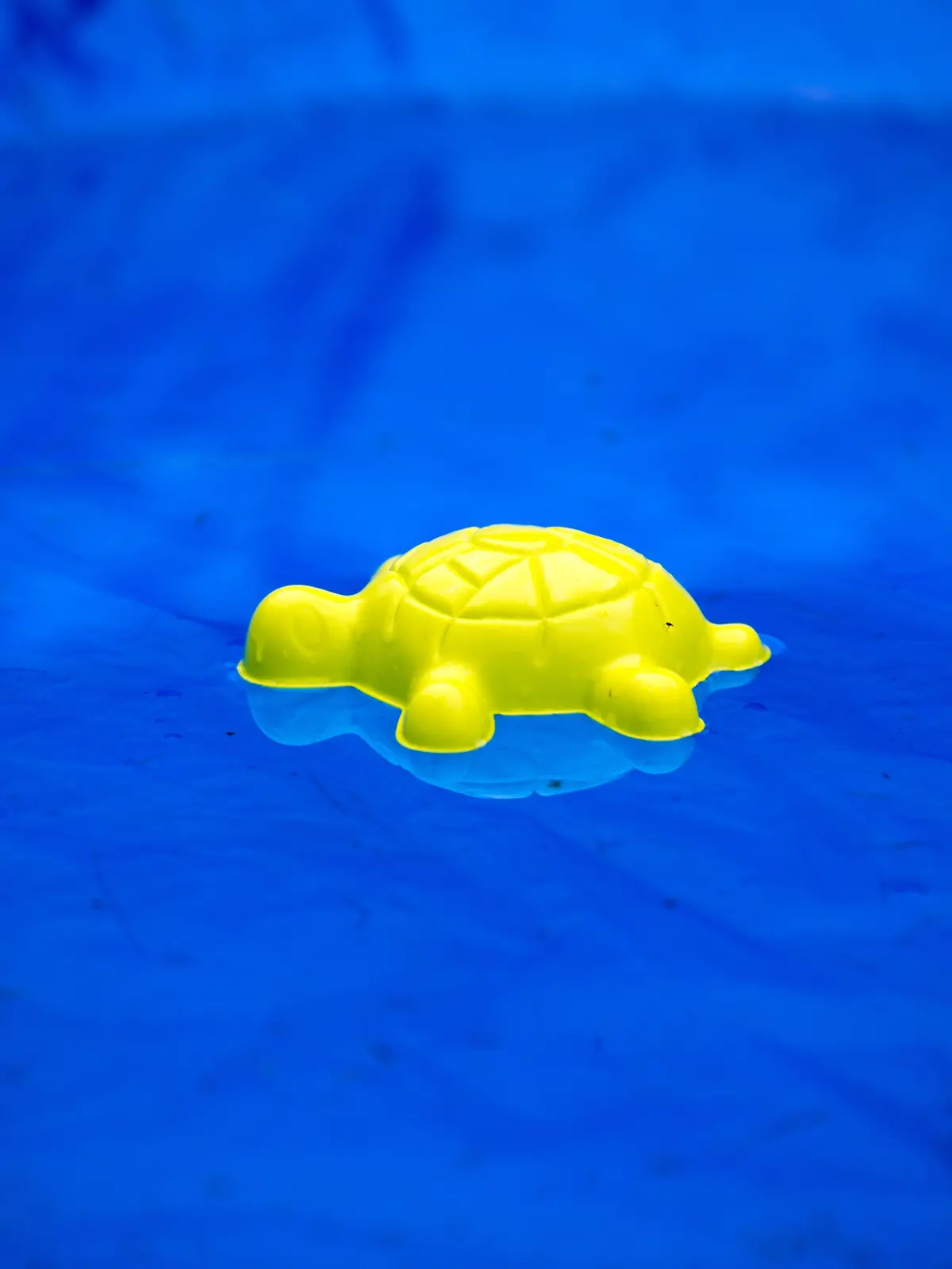 Zwei vermisste Kinder tot im Privat-Pool in Frankreich gefunden. (Symbolbild)