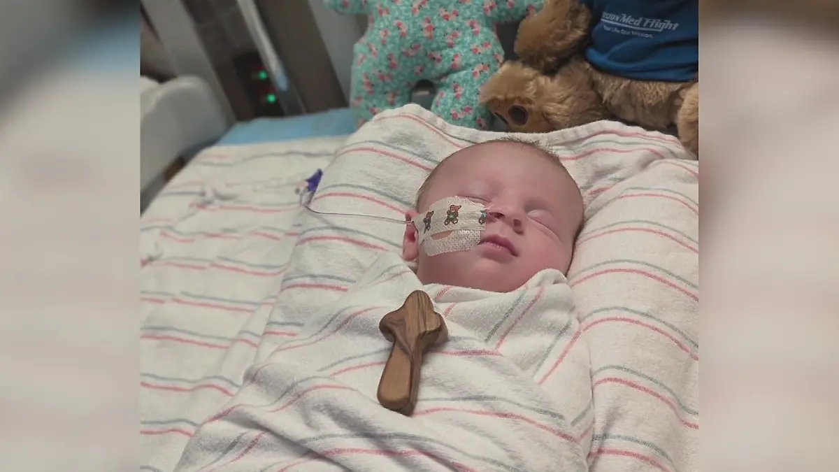 Baby Lily (5 Monate) von Zecke gebissen - jetzt kämpft sie um ihr Leben! Infektion in nur 15 Minuten!