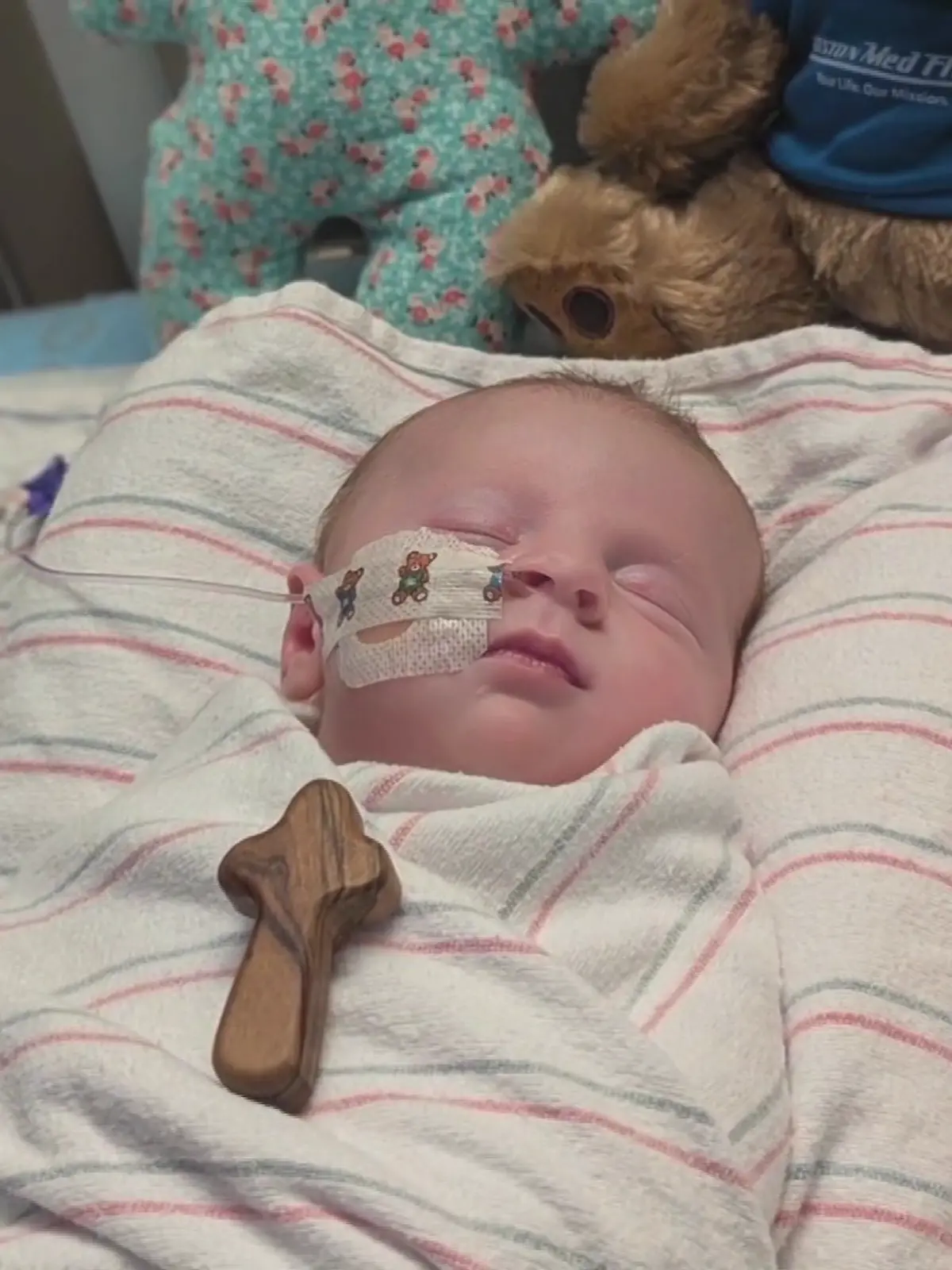 Lily wird derzeit im Krankenhaus behandelt. 