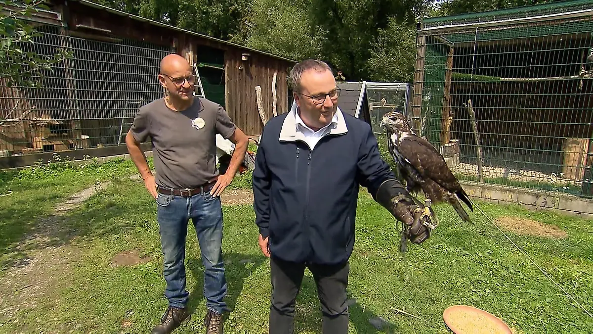 Land finanziert Vollzeitstelle für drei Greifvogelstationen in NRW Hilfe für Ehrenamtler