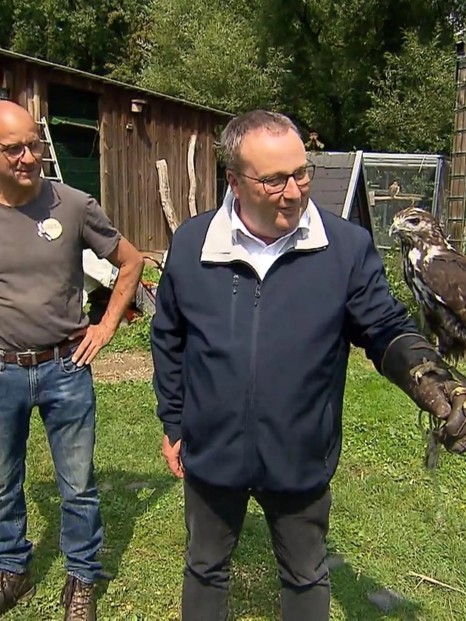 Bild zu: "Land finanziert Vollzeitstelle für drei Greifvogelstationen in NRW"