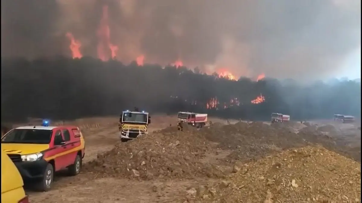 Feuerwehrleute gehen im Südfrankreich bei Rekordhitze bis ans Limit Größter Waldbrand seit 1949