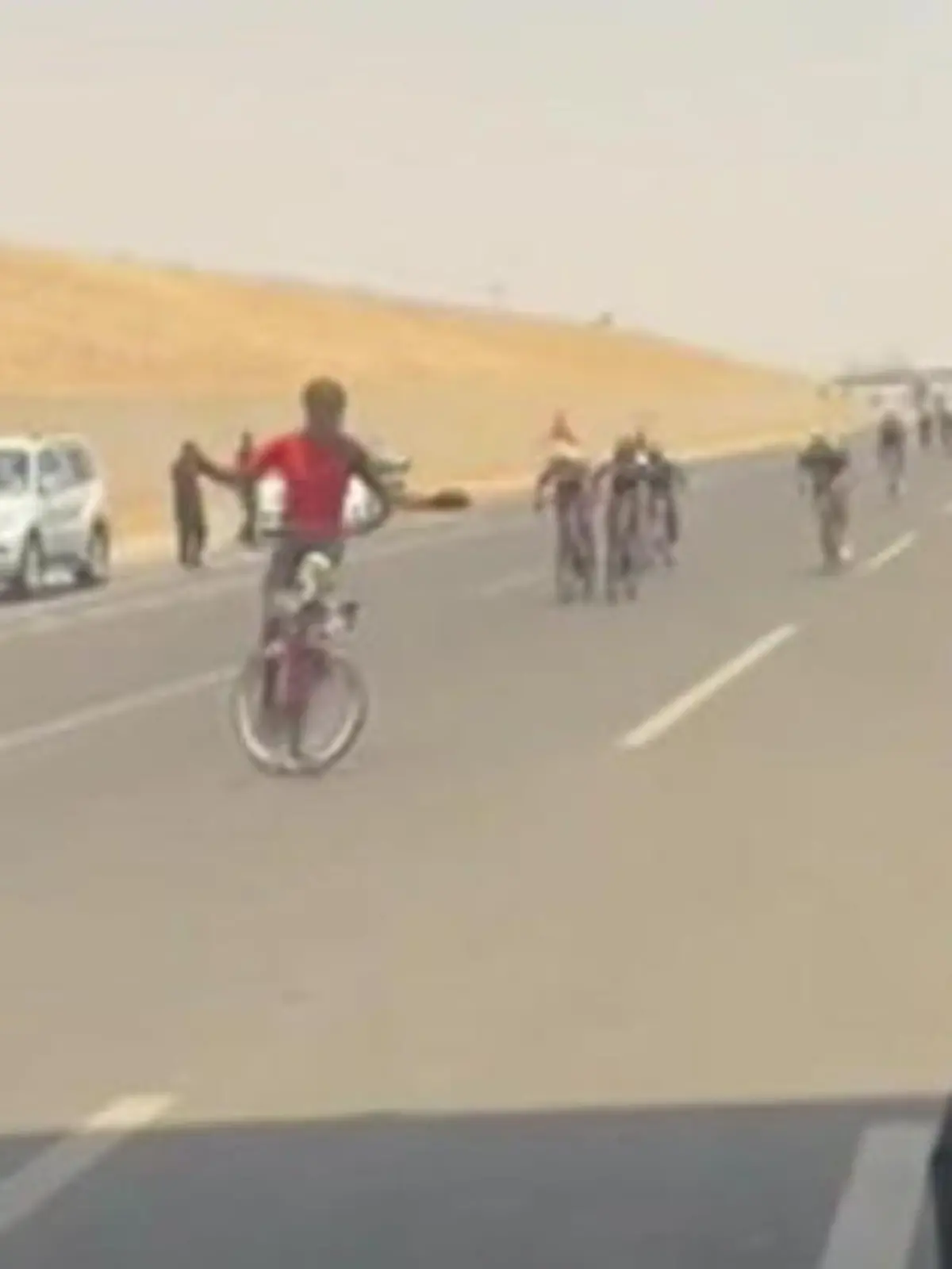 Bild zu: "Übermut tut selten gut! Radsportler jubelt und verschenkt den Sieg"