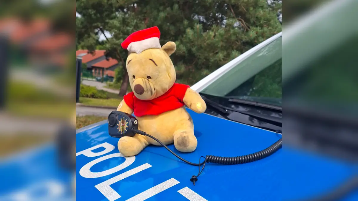 Er lag mitten auf der Autobahn – jetzt genießt der Bär Polizeischutz.