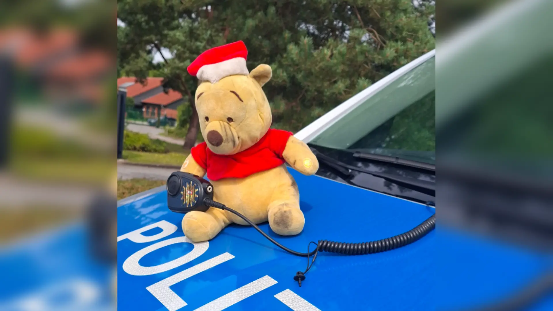 Er lag mitten auf der Autobahn – jetzt genießt der Bär Polizeischutz.