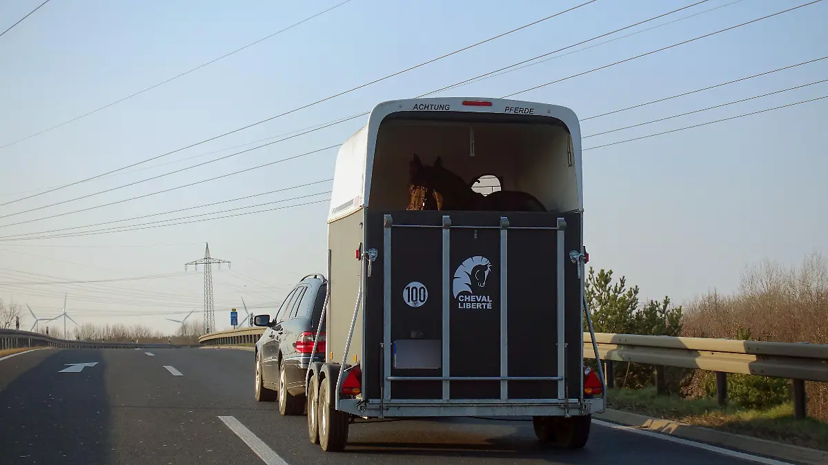 Pferdeanhaenger auf der Straße 