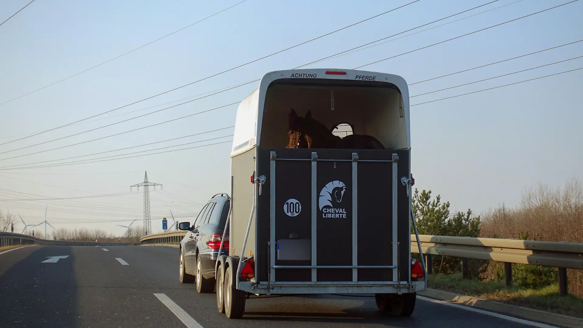 Pferdeanhaenger auf der Straße