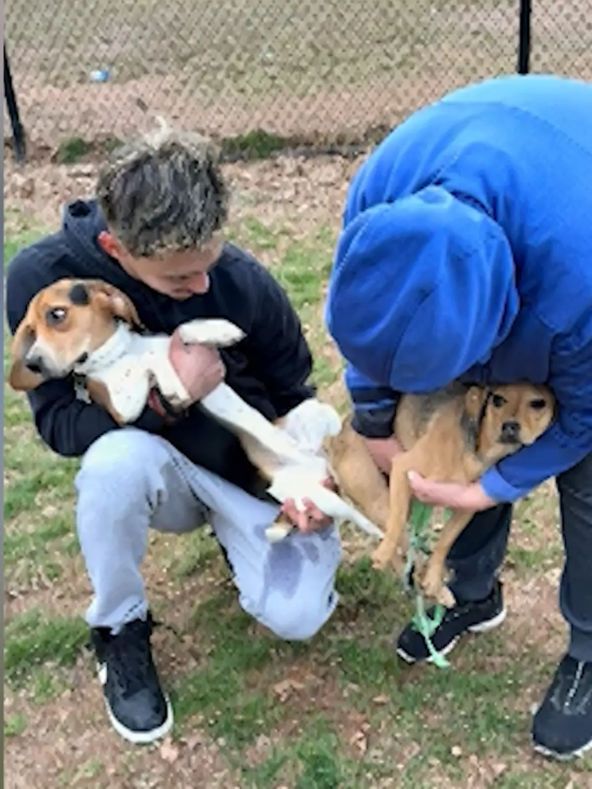 Die zwei lassen sich nach dem Schäferstündchen nur schwer trennen. 