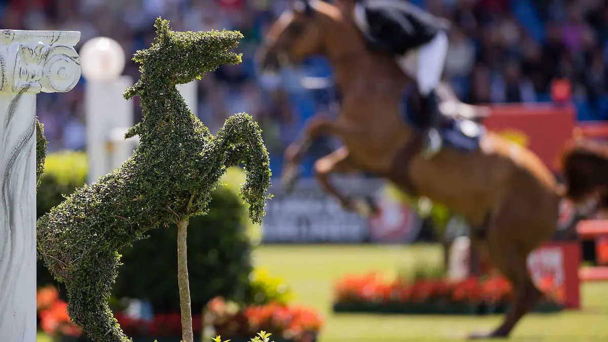 In einem Jahr beginnen in Aachen die Reit-Weltmeisterschaften.