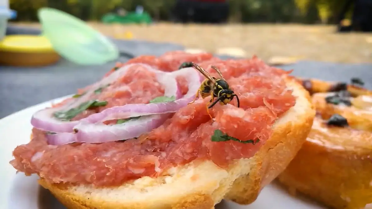 Mehr Wespen denn je! Diese Tricks halten die fiesen Tiere von eurem Mittagstisch fern Wespensaison steht bevor!