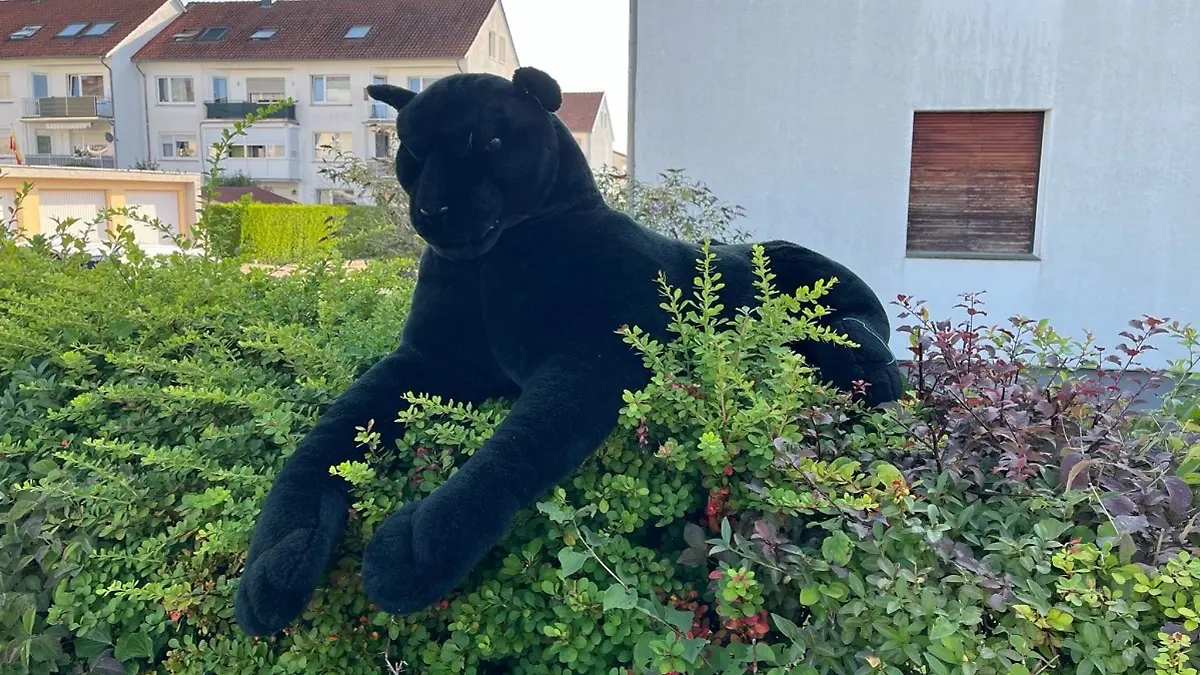 Dieser Plüsch-Panther auf einer Hecke löste einen Polizeieinsatz aus.