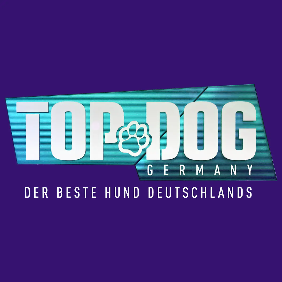 Bild zu: "Top Dog Germany"