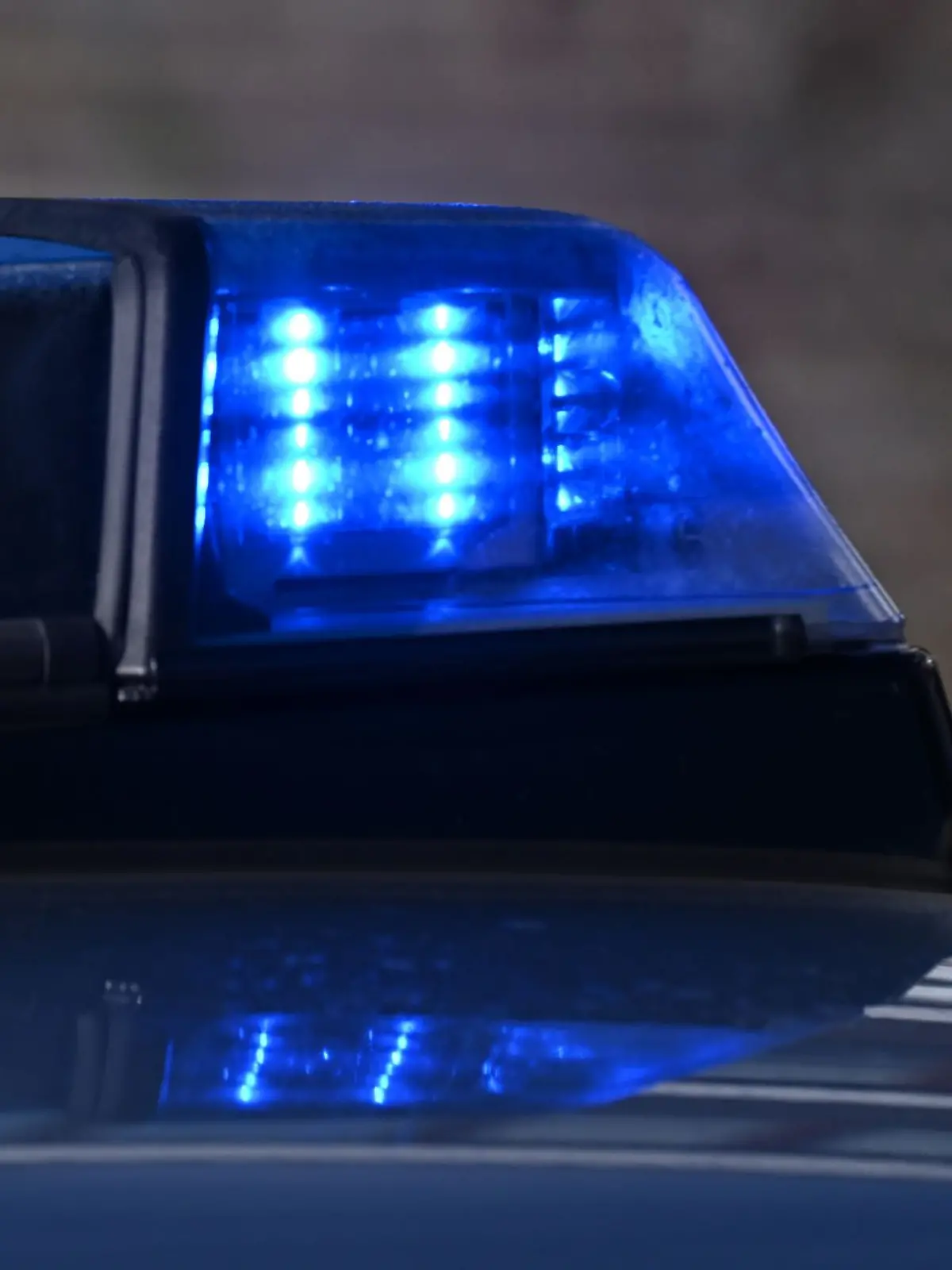 Bild zu: "Nach fast vier Jahren! Vermisste Milina K. wurde gefunden – tot "