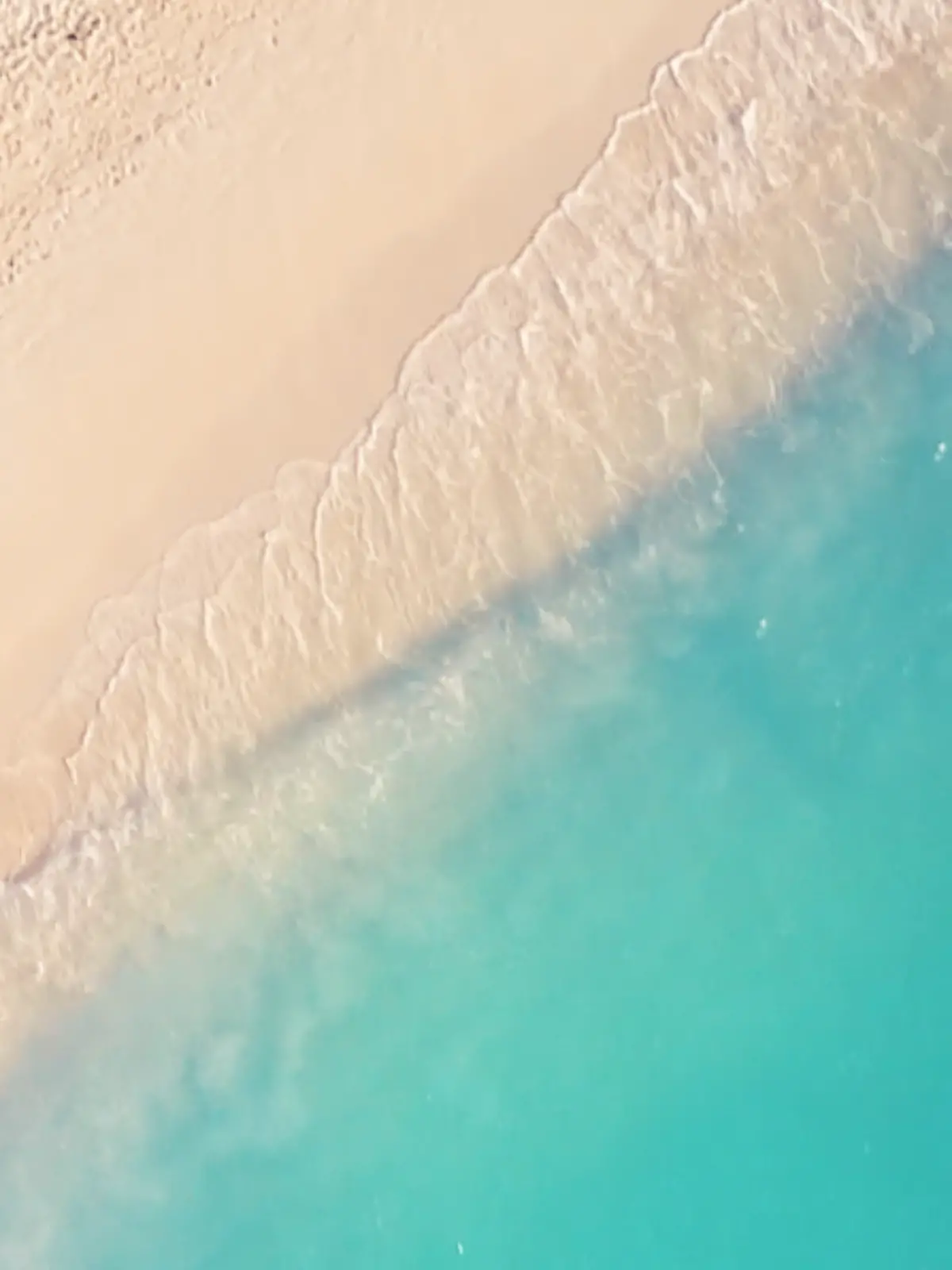 „Bachelor in Paradise” geht wieder los