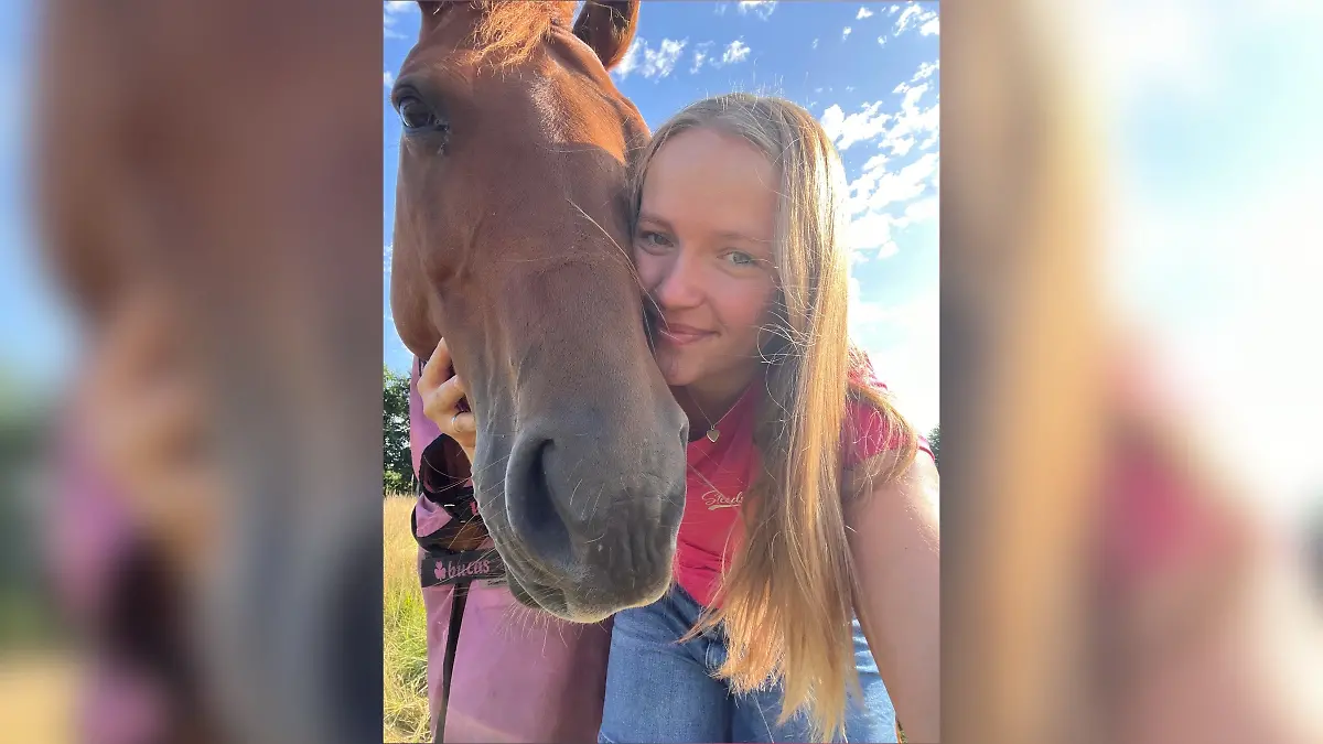 Das American Quarter Horse ist 14 Jahre alt.