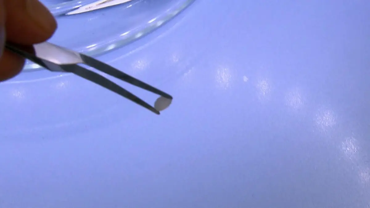 Studie zu Mikroplastik im Rhein Untersuchungen an Chemiestandorten