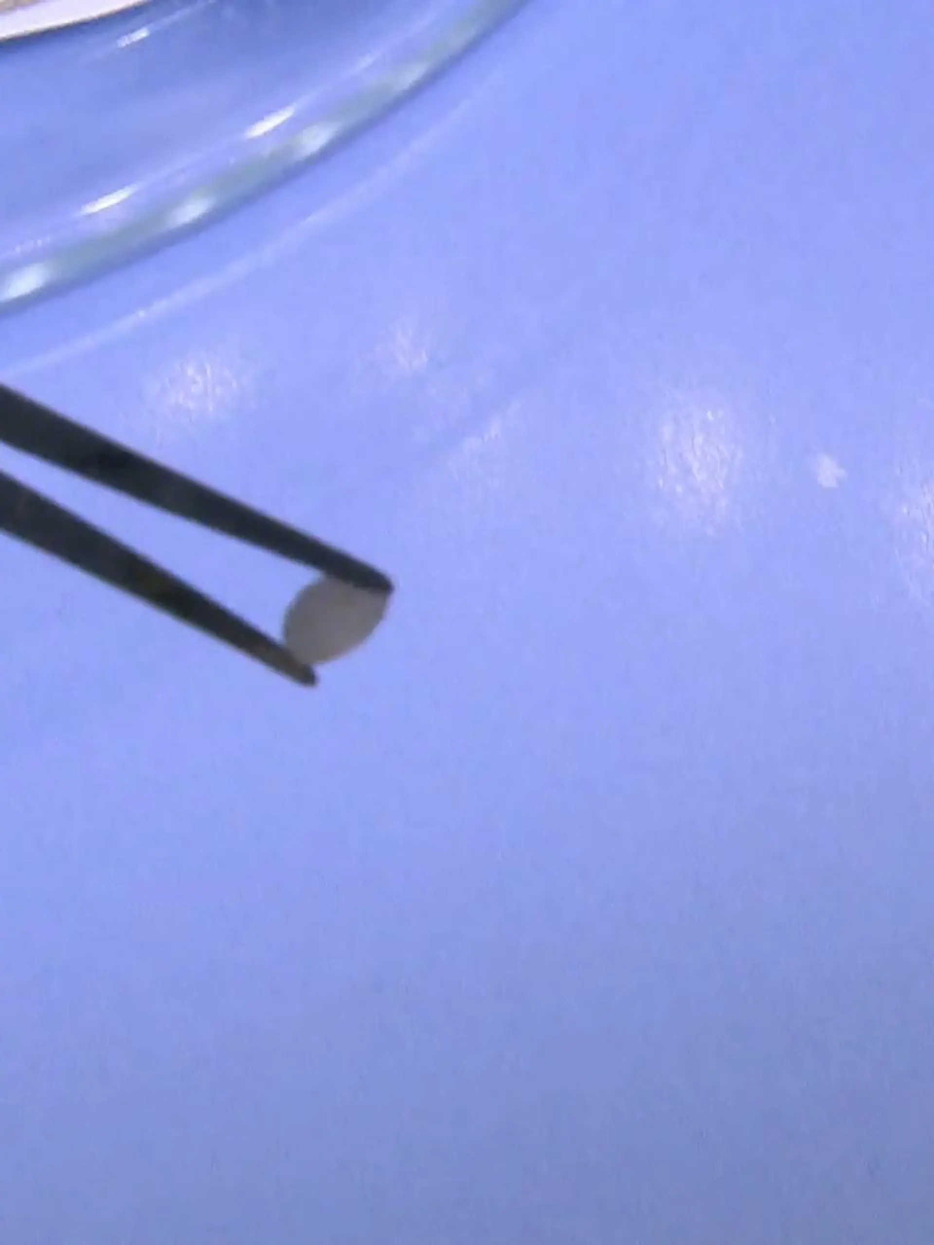 Bild zu: "Studie zu Mikroplastik im Rhein"