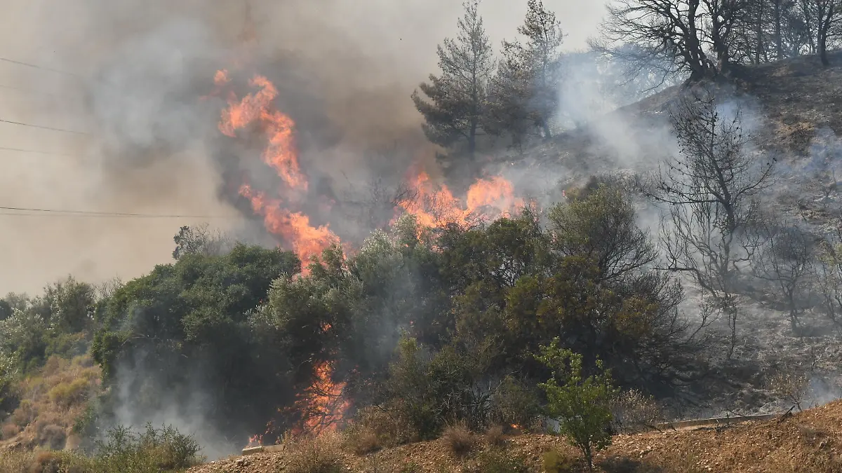 Derzeit wüten heftige Waldbrände im gesamten Mittelmeerraum.