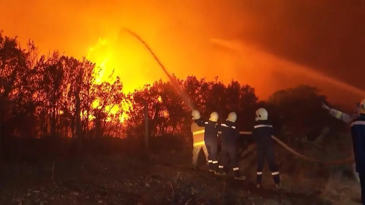 Waldbraände wüten im Mittelmeerraum Kampf gegen die Flammen
