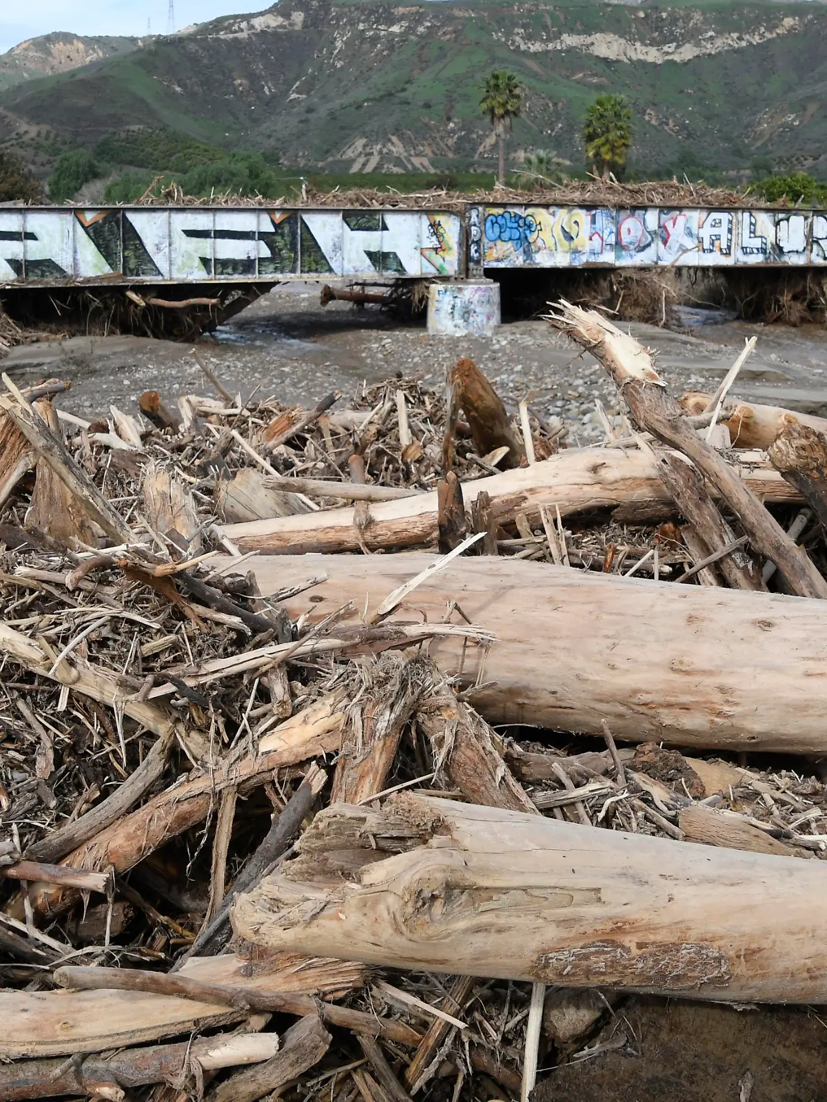 Rain damage and heavy debris at Hopper Creak along highway 126 at Fillmore CA/USA Wednesday, Jan 11, 2023
Credit Image: Gene Blevins/ZUMA Press Wire
Pictured: GV,General View
Ref: SPL5514469 110123 NON-EXCLUSIVE
Picture by: Zuma / SplashNews.com



World Rights, No Argentina Rights, No Belgium Rights, No China Rights, No Czechia Rights, No Finland Rights, No France Rights, No Hungary Rights, No Japan Rights, No Mexico Rights, No Netherlands Rights, No Norway Rights, No Peru Rights, No Portugal Rights, No Slovenia Rights, No Sweden Rights, No Taiwan Rights, No United Kingdom Rights
