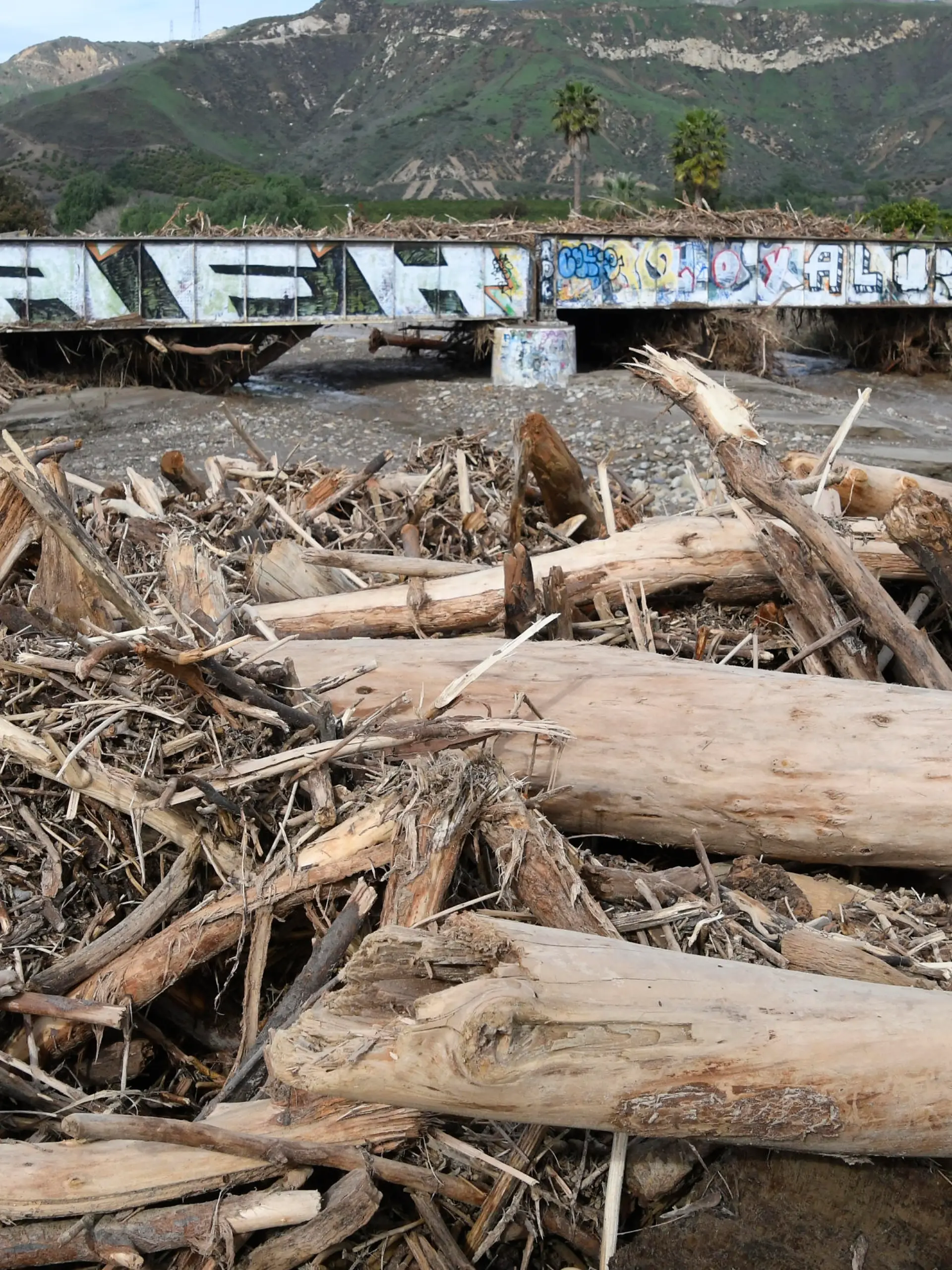 Rain damage and heavy debris at Hopper Creak along highway 126 at Fillmore CA/USA Wednesday, Jan 11, 2023
Credit Image: Gene Blevins/ZUMA Press Wire
Pictured: GV,General View
Ref: SPL5514469 110123 NON-EXCLUSIVE
Picture by: Zuma / SplashNews.com



World Rights, No Argentina Rights, No Belgium Rights, No China Rights, No Czechia Rights, No Finland Rights, No France Rights, No Hungary Rights, No Japan Rights, No Mexico Rights, No Netherlands Rights, No Norway Rights, No Peru Rights, No Portugal Rights, No Slovenia Rights, No Sweden Rights, No Taiwan Rights, No United Kingdom Rights
