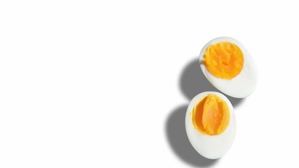 Eier