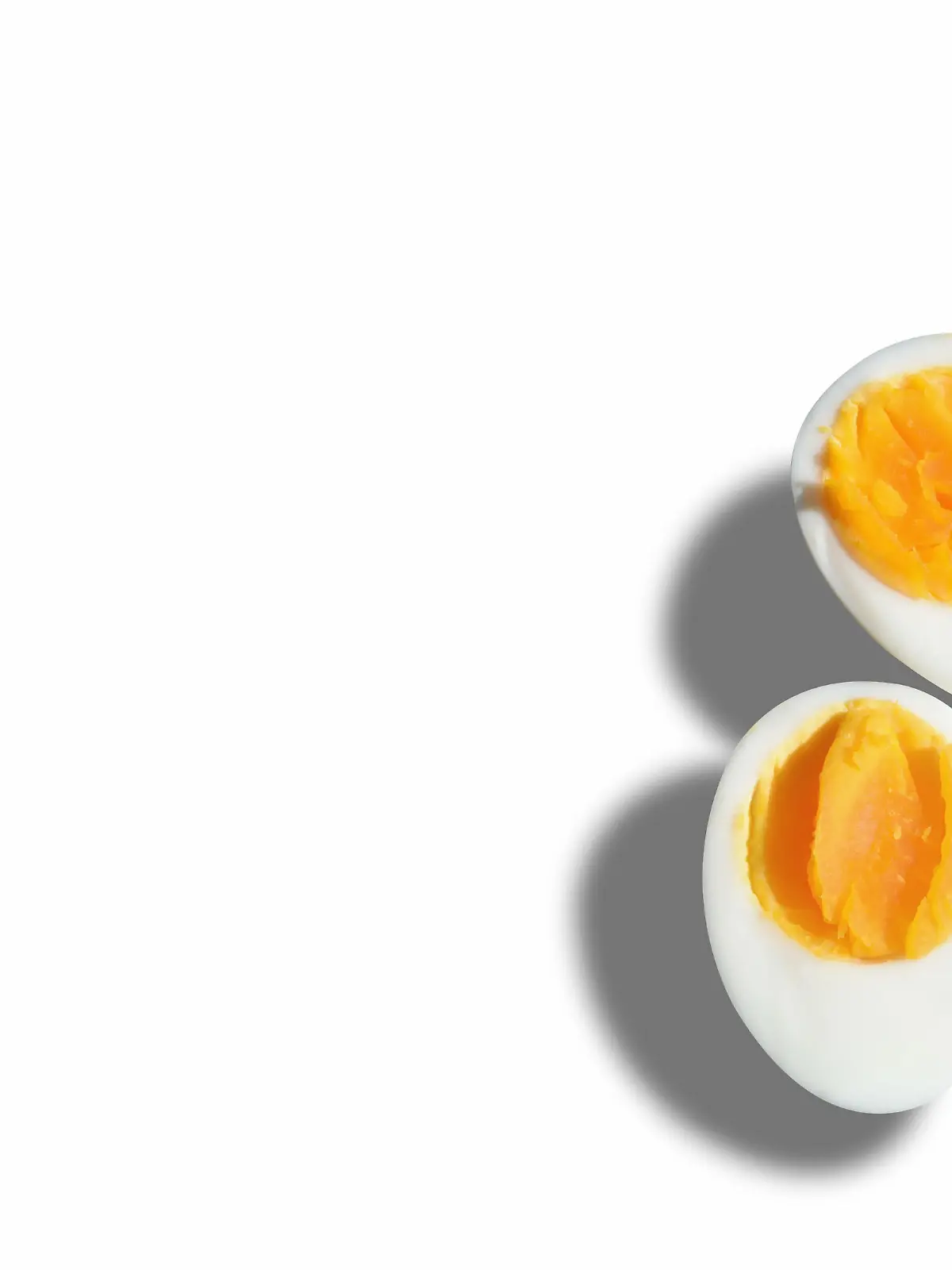 Eier