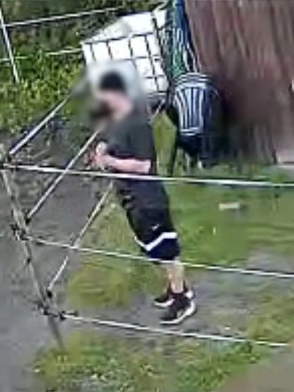 Kurz nach dieser Aufnahme soll der junge Mann unter dem Zaun hindurch geklettert sein und sich danach an mehreren Pferden vergangen haben.