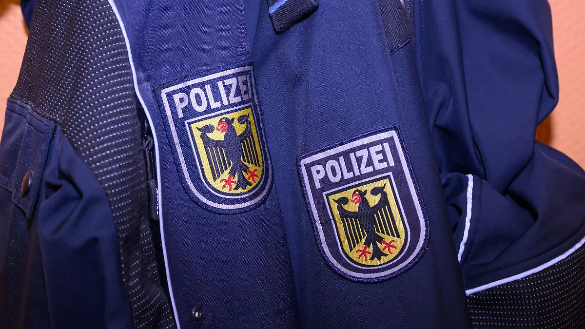 Eine herrenlose Katze sorgte für einen nächtlichen Polizeieinsatz in einer Regionalbahn. (Symbolbild)