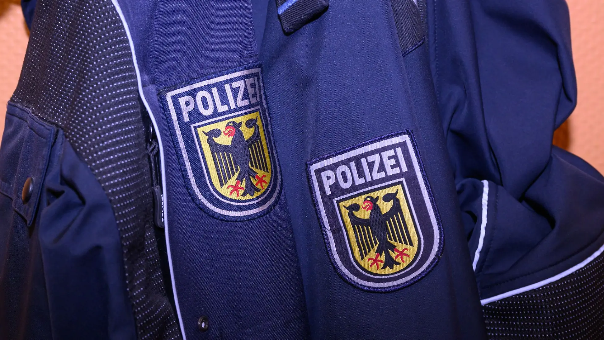 Eine herrenlose Katze sorgte für einen nächtlichen Polizeieinsatz in einer Regionalbahn. (Symbolbild)