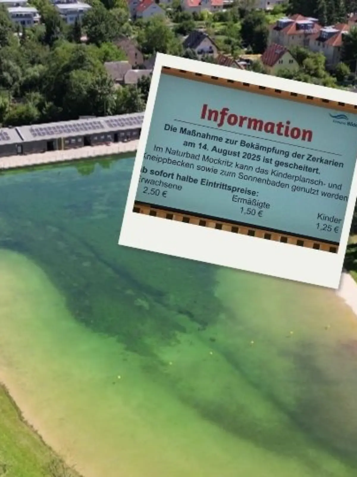 Das Naturbad Mockritz in Dresden hat Zerkarien im Wasser.