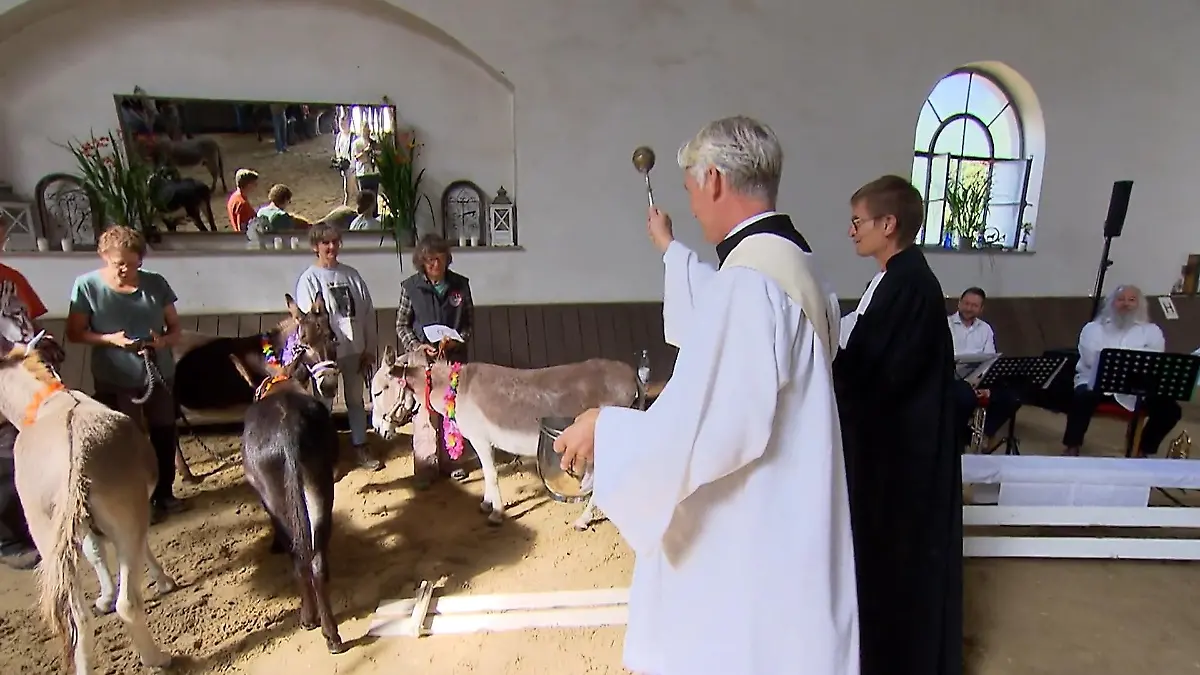 Gottesdienst mit Eseln Bad Honnef