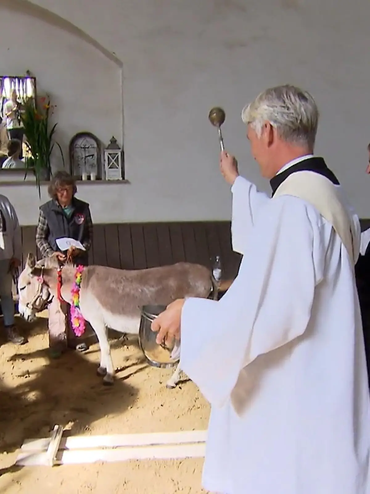 Bild zu: "Gottesdienst mit Eseln in Bad Honnef"