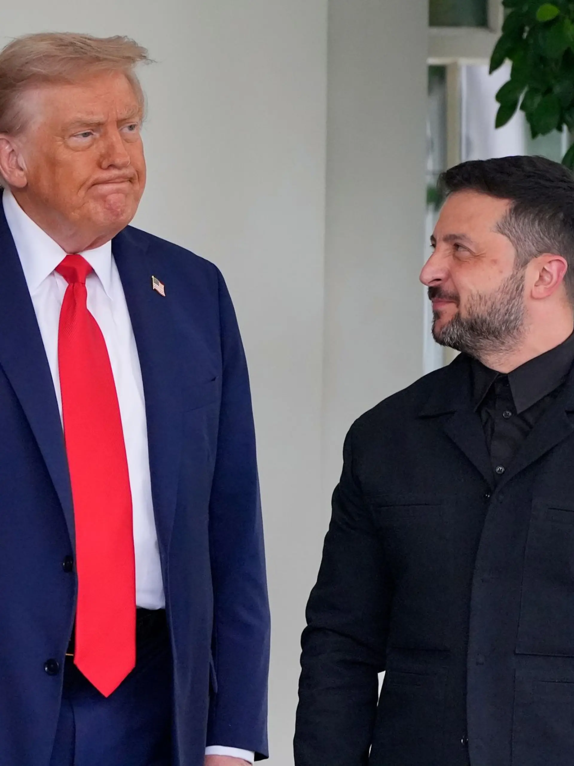 Selenskyj erscheint in einem schwarzen Hemd mit Kragen und einer schwarzen Jacke mit Revers zu seinem Treffen mit Trump. 