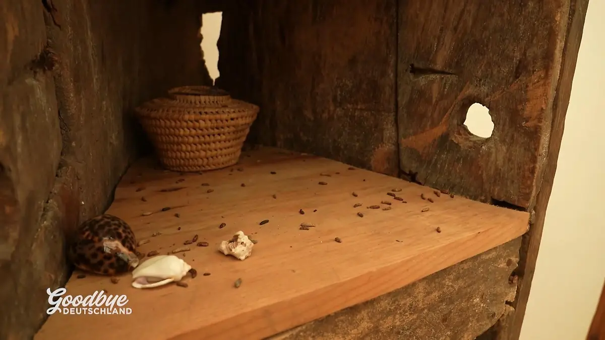 Franzis Albtraum im eigenen Haus Überall Mäusekot