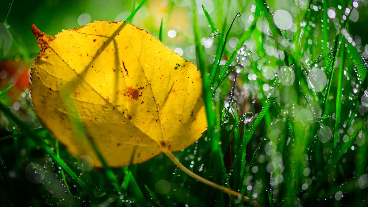 Herbstwetter