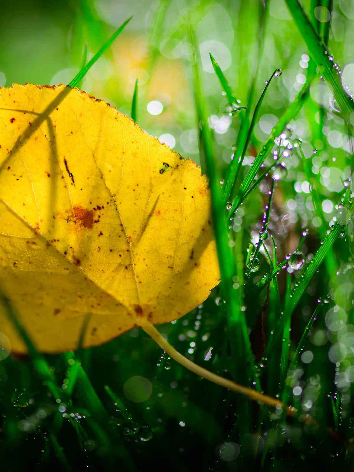 Herbstwetter
