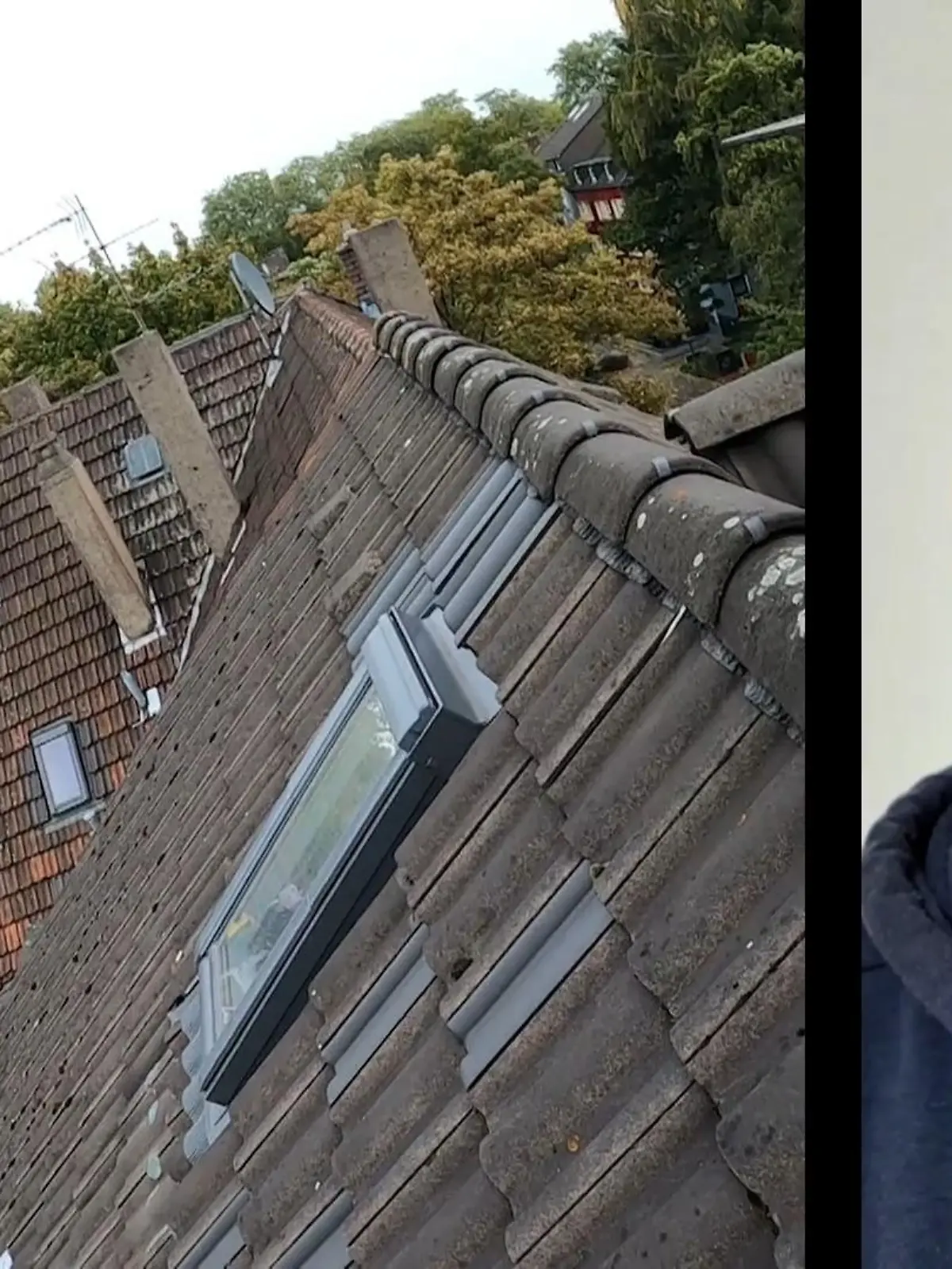 Bild zu: "Katze Nika auf dem Dach"